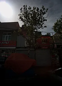 پیتزا ساندویچ شقایق