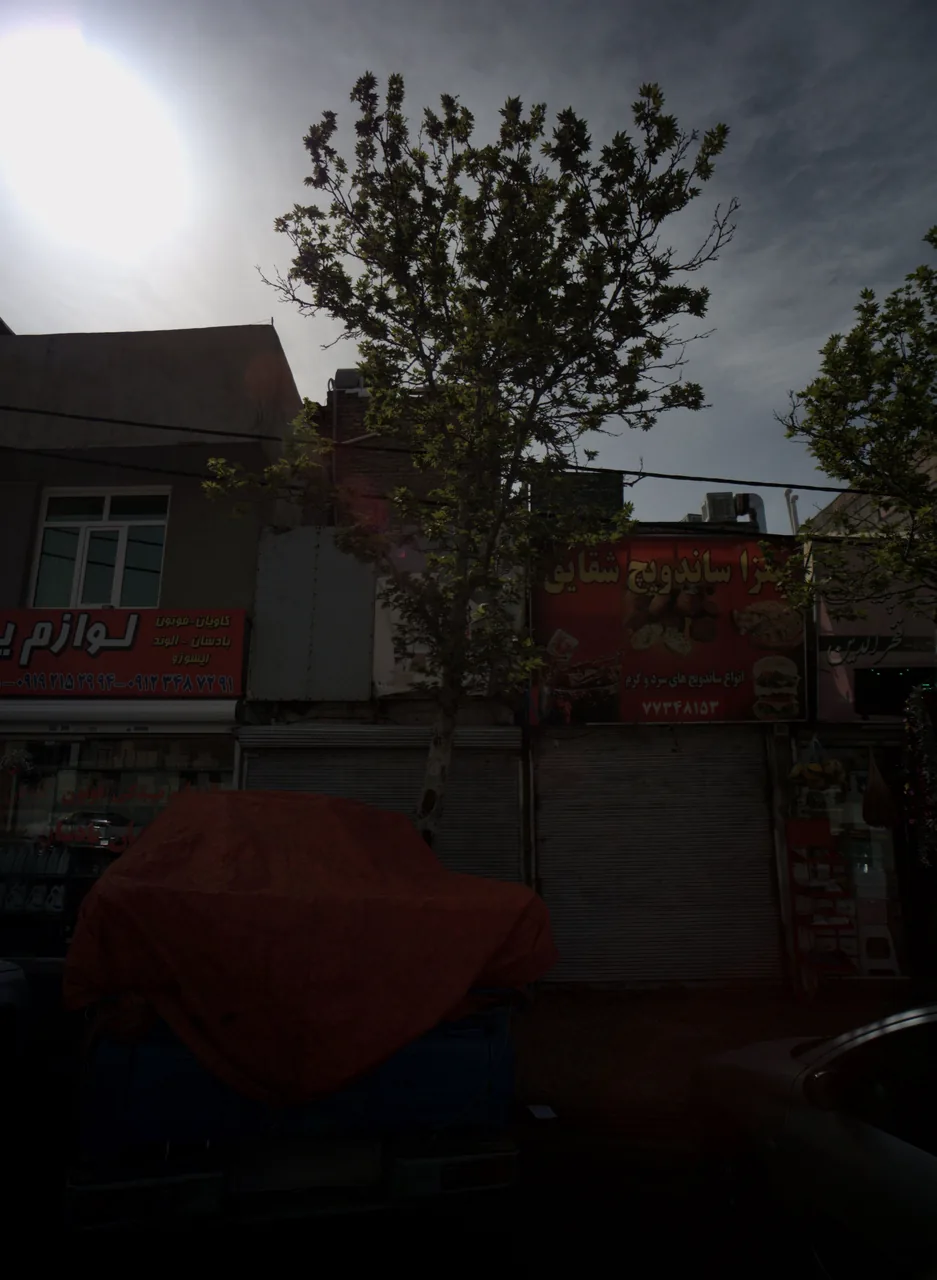 پیتزا ساندویچ شقایق