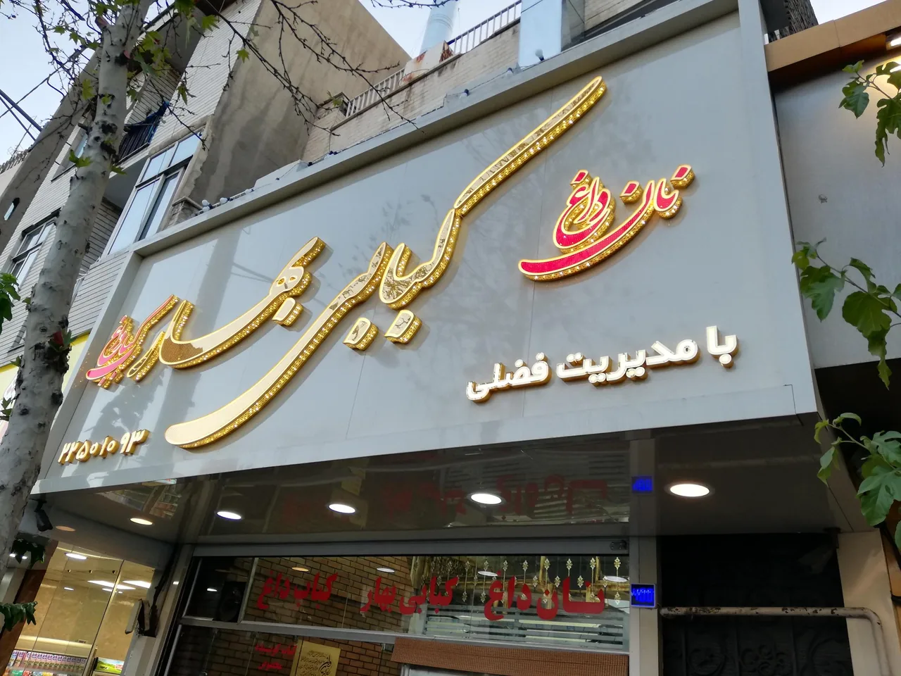 کبابی بهارفضلی - تصویر 2