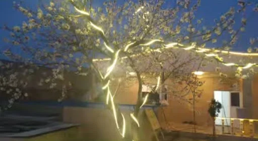 باغ تالار اسما