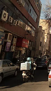 جوجه کباب شاکر