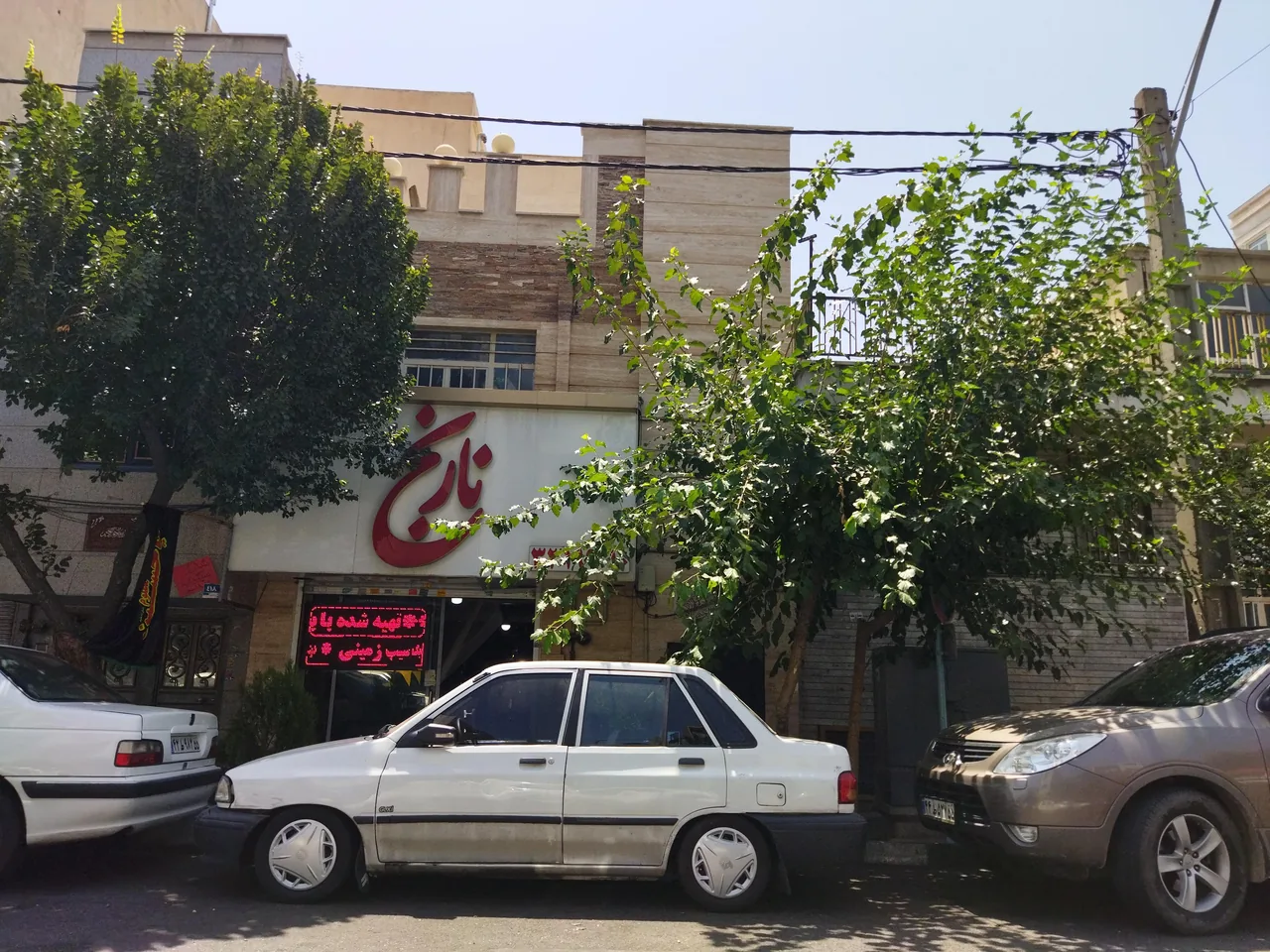 غذای ایرانی نارنج - تصویر 4