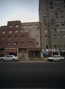 پیتزا برگر تمشک