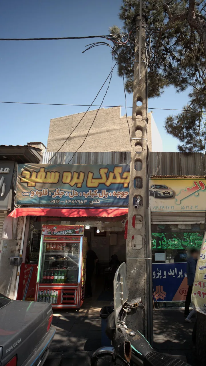 جگرکی بره سفید - تصویر 2