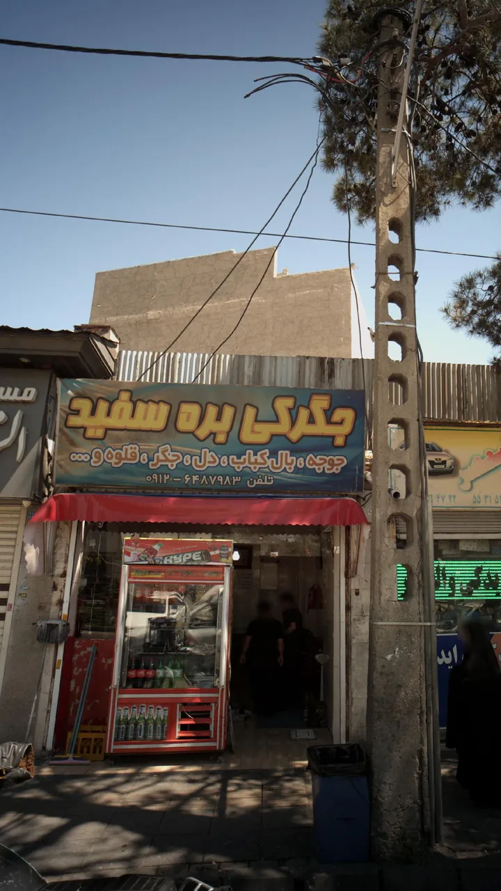 جگرکی بره سفید - تصویر 3