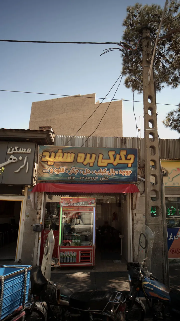 جگرکی بره سفید - تصویر 4