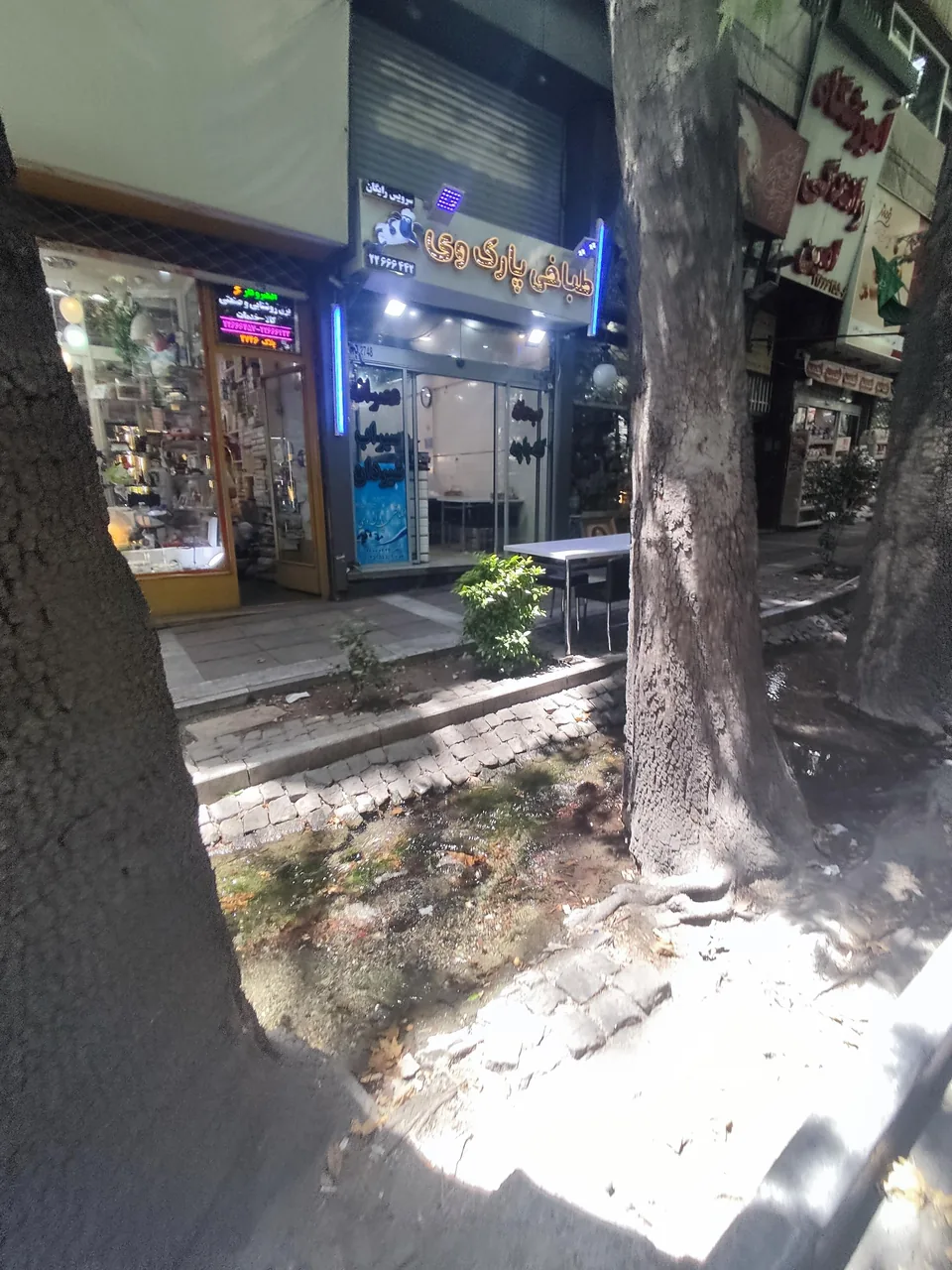 طباخی‌‌پارک‌وی - تصویر 2