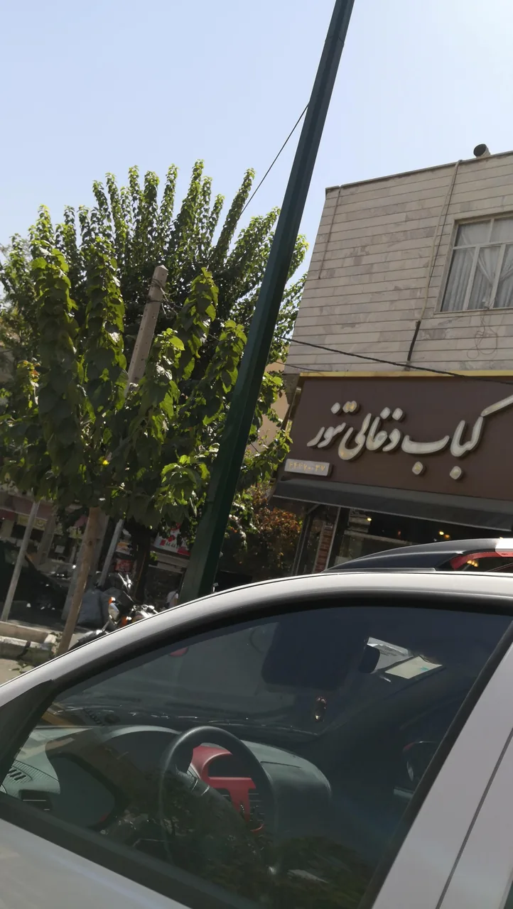 کباب سرای تنور - تصویر 3