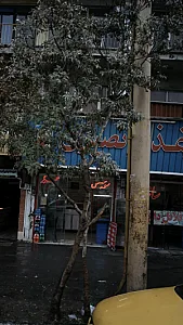 اغذیه نصیری