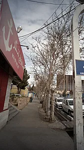 ساندویچی لنگر