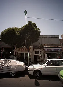 طباخی سیراب و شیردان