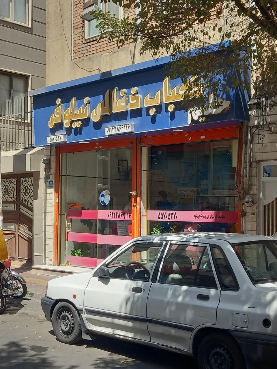 کباب ذغالی نیلوفر