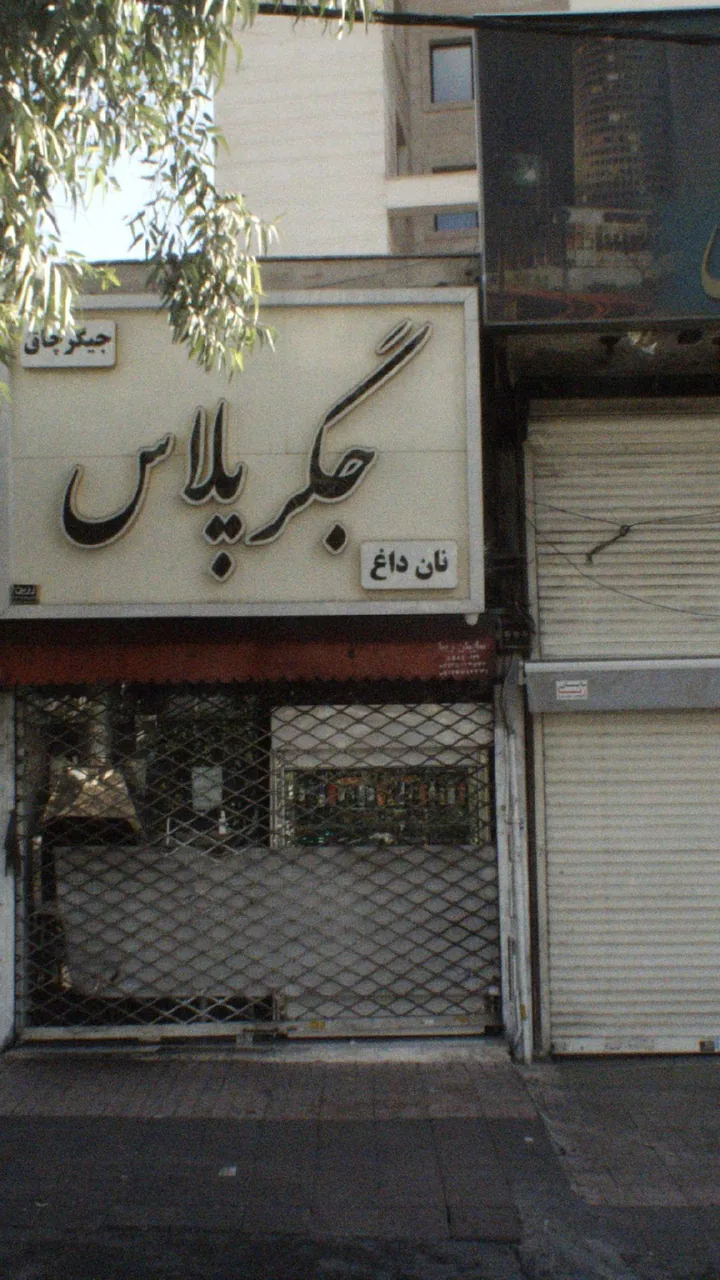 جگر پلاس - تصویر 2