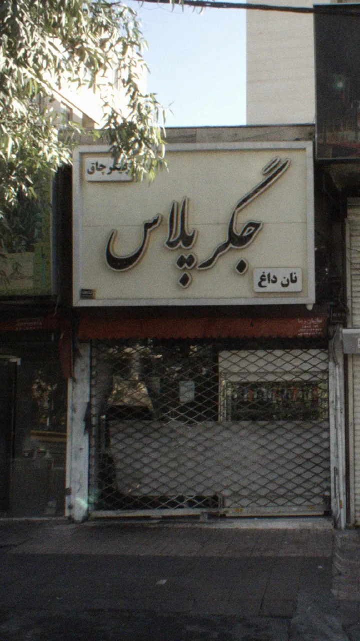 جگر پلاس - تصویر 4