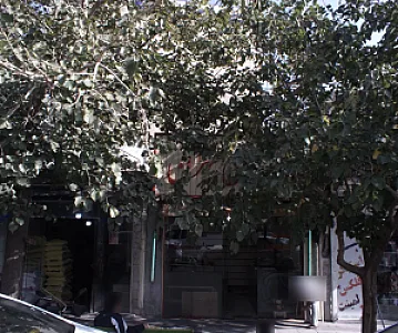 طباخی طهران