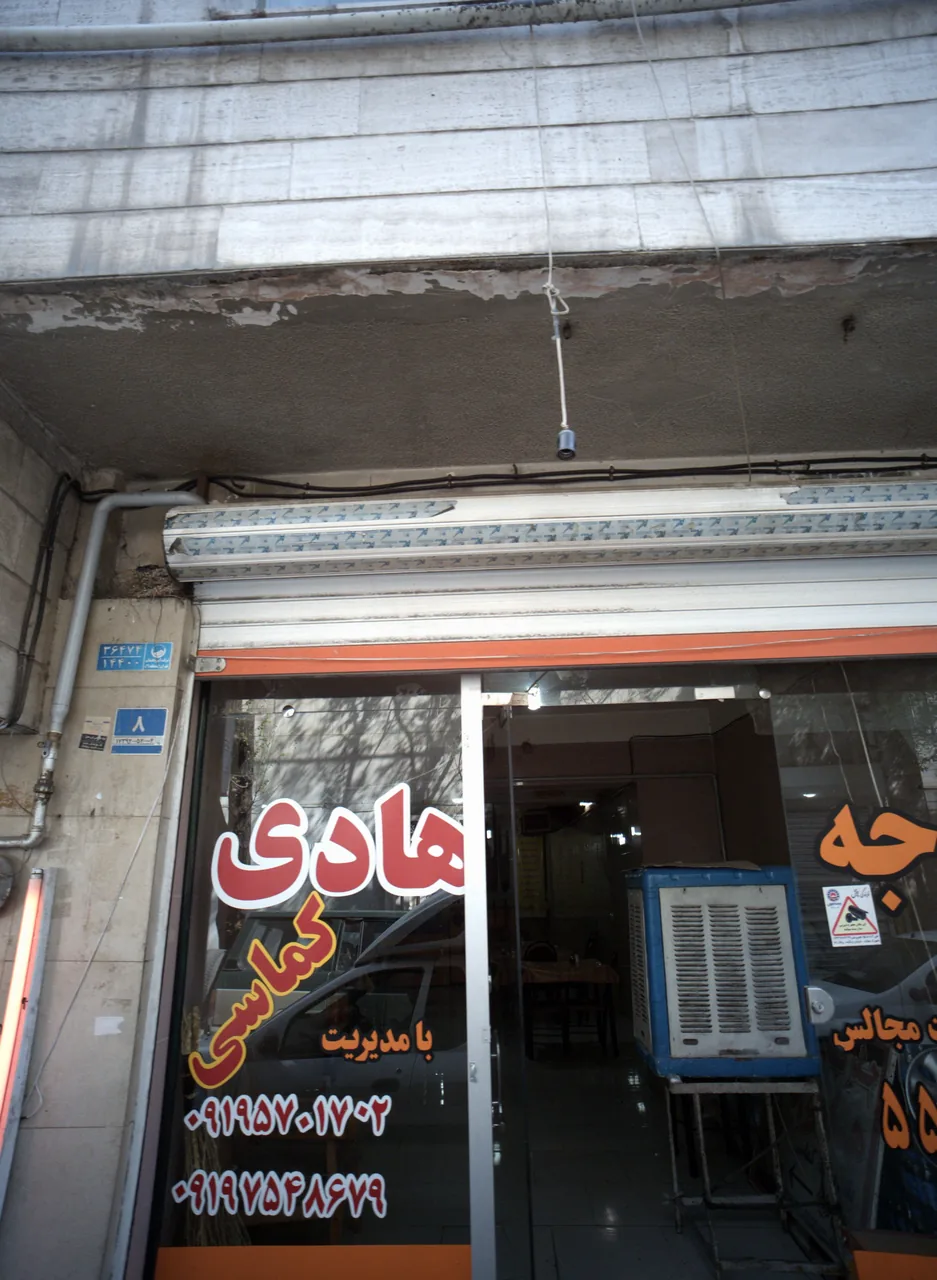 جوجه طلایی