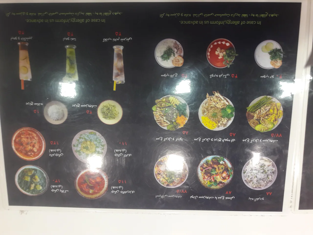 سالاد بار پاموج