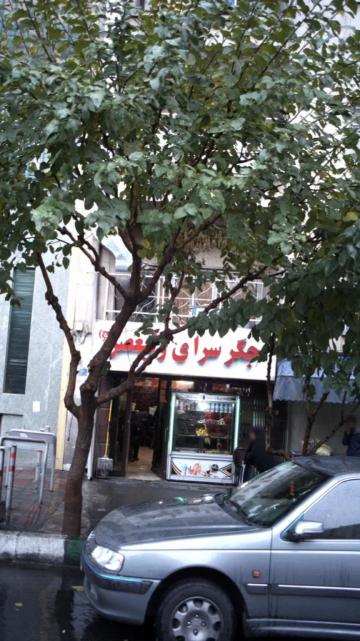 جگر سرای ولیعصر - تصویر 4