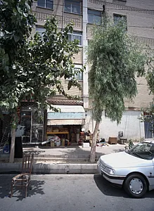 پیتزا ساندویچ آفتابگردان