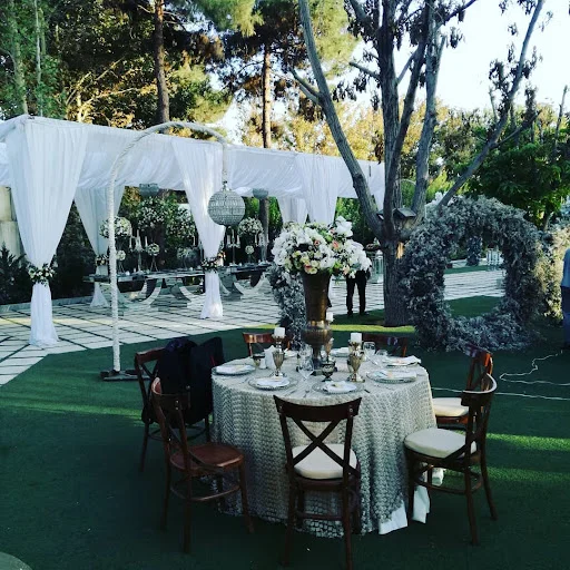 خدمات مجالس پاتریس