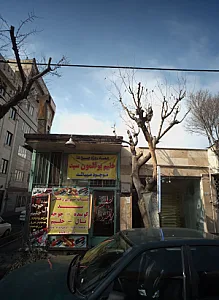 کباب سرای زغالی سید