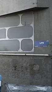 پیتزا کاج