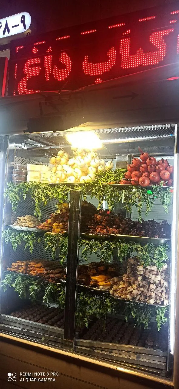 جگر سرای سپاه - تصویر 2