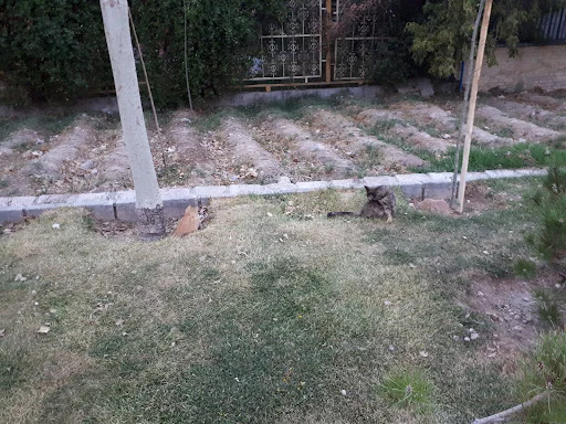 مجتمع آذرآب