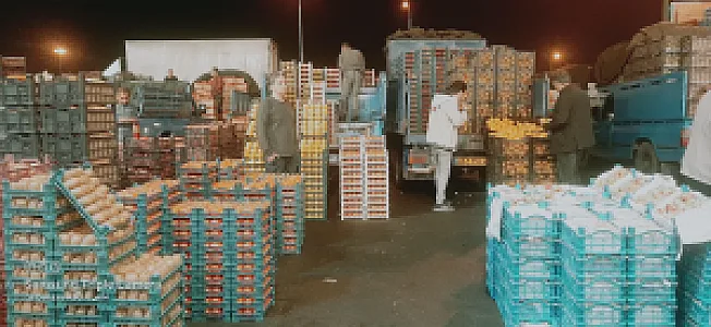 باسکول میدان تره بار مرکزی