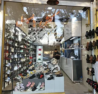 کفش پانیل
