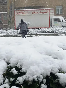 باربری فلاح