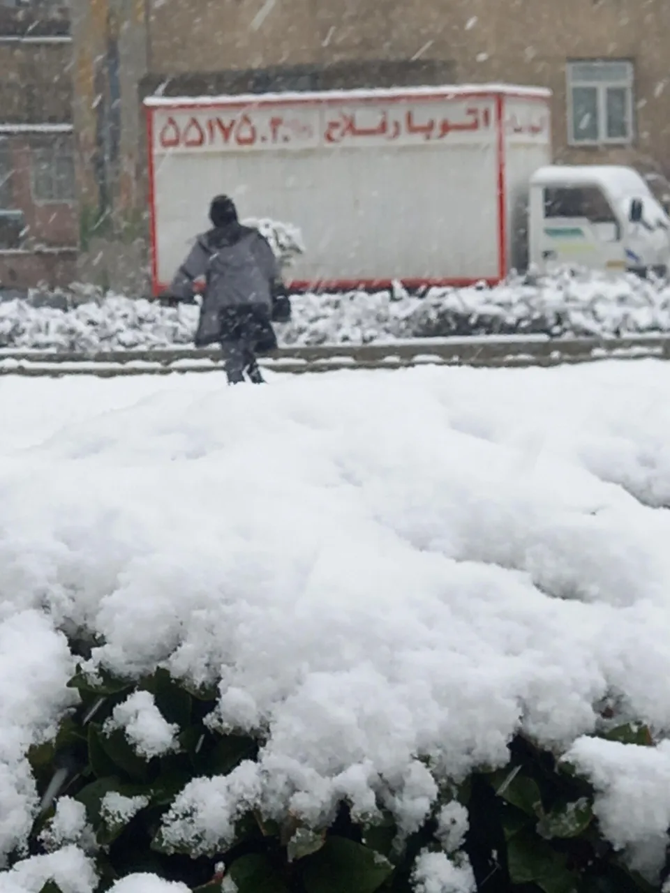 باربری فلاح