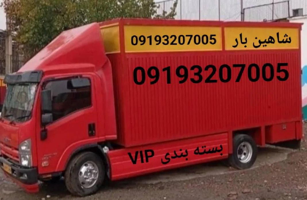 شاهین بار کامرانیه - تصویر 2