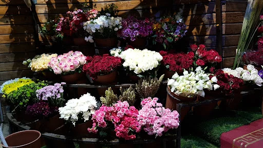 گل پردیس - تاکسی تلفنی در تبریز