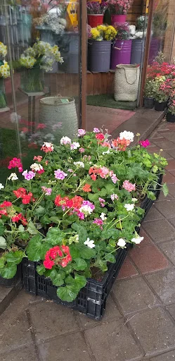 گل پردیس - تاکسی تلفنی در تبریز