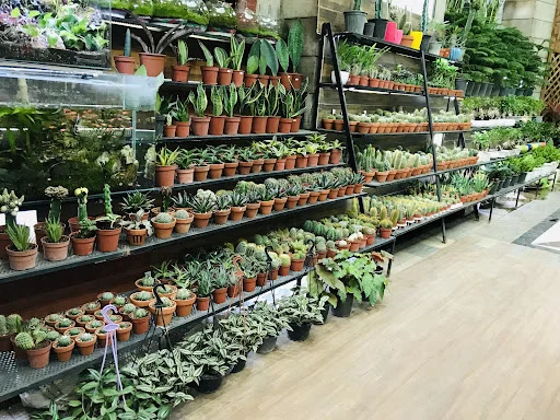 گل پردیس - تاکسی تلفنی در تبریز