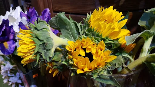 گل پردیس - تاکسی تلفنی در تبریز