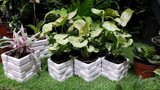 گل پردیس - تاکسی تلفنی در تبریز