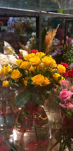 گل پردیس - تاکسی تلفنی در تبریز