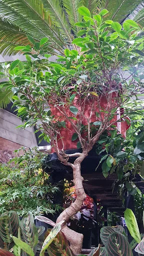 گل پردیس - تاکسی تلفنی در تبریز