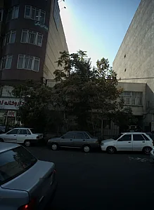کلینیک نسیم قیطریه