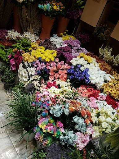 گلفروشی طاها