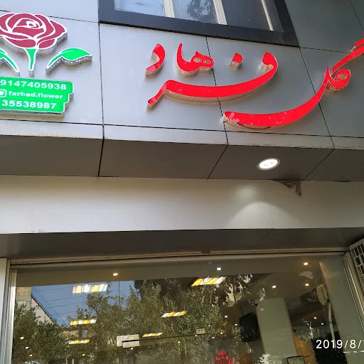 گلستان فرهاد - تصویر 7