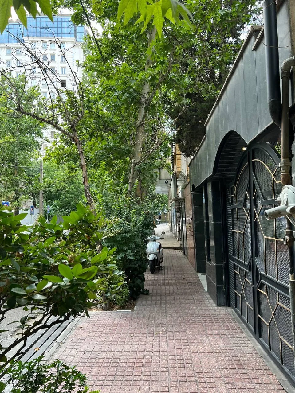 کلینیک زیبایی آوابیوتی - تصویر 4