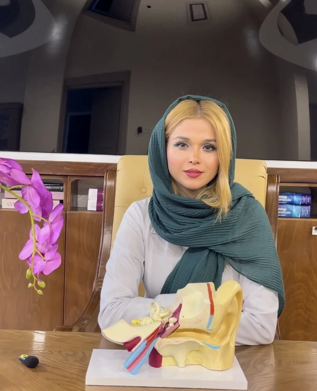 کلینیک شنوایی سنجی و سمعک کیمیا (گاندی) - تصویر 2