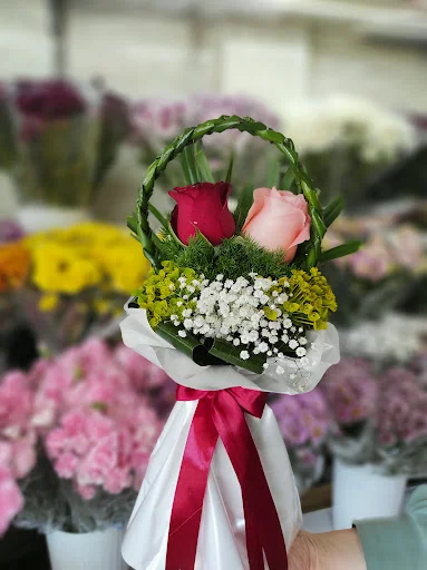 گلستان نفیس