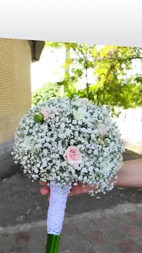 گلستان نفیس - گل‌فروشی و گیاهان زینتی در تبریز