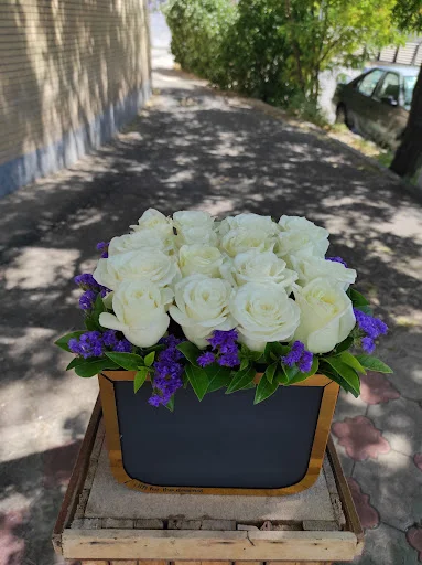 گلستان نفیس - گل‌فروشی و گیاهان زینتی در تبریز