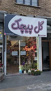 گل پیچک