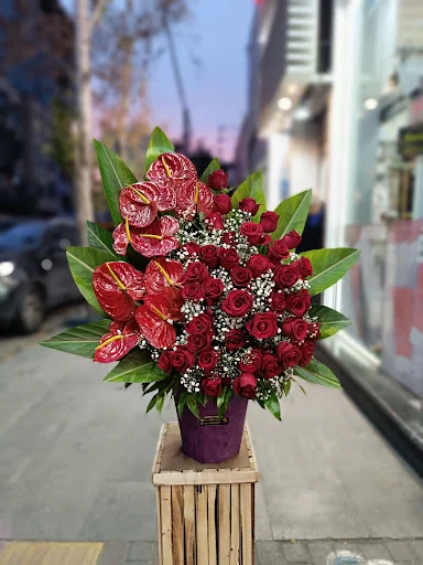 گل پیچک - گل فروشی در تبریز